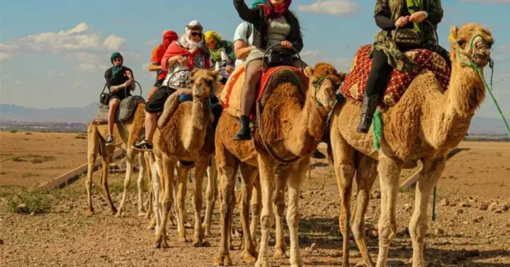 Agafay Desert: Sunset Camel Ride Moroccan Dinner & Fire Show