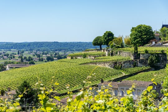 Ruta del vino por la tarde en Saint-Émilion