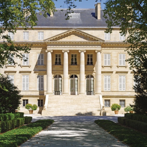 Médoc: Half-Day Wine Tour from Bordeaux