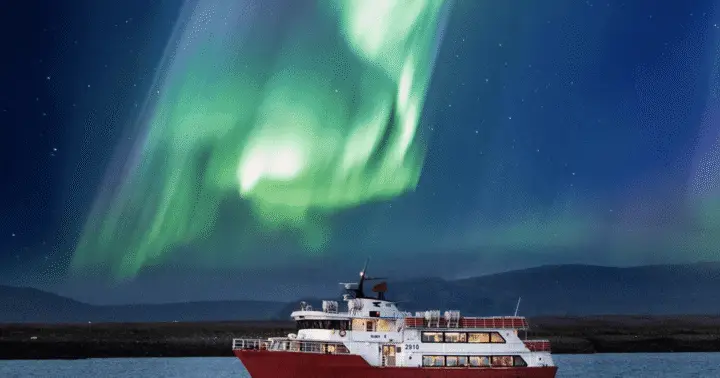 Reykjavík: Northern Lights Cruise