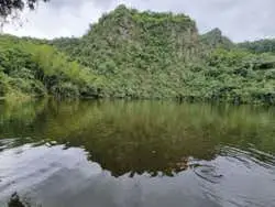 Day Trip to Laguna El Tabacal + Gallito Torres Coffee Farm