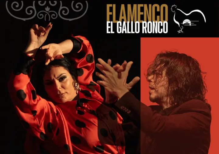 Málaga: auténtico espectáculo flamenco en El Gallo Ronco