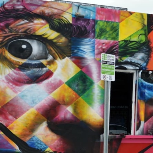 Miami: Small Group Guided City Tour + Everglades Airboat Ride