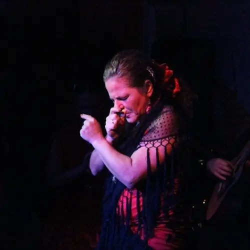Espectáculo flamenco con cena en El Toro y la Luna