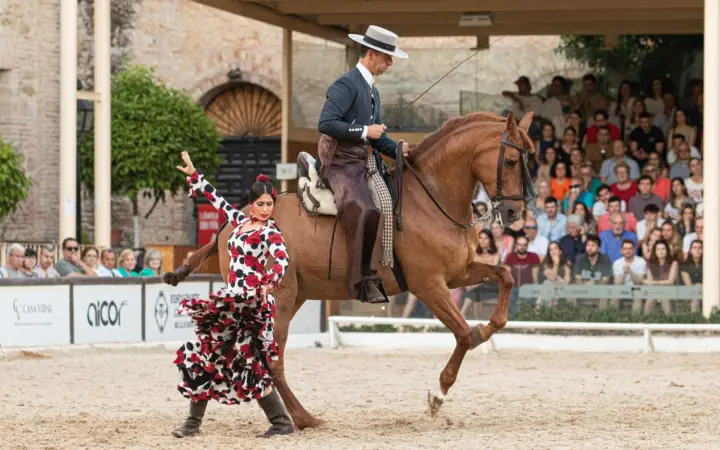 Córdoba: entrada general al espectáculo ecuestre