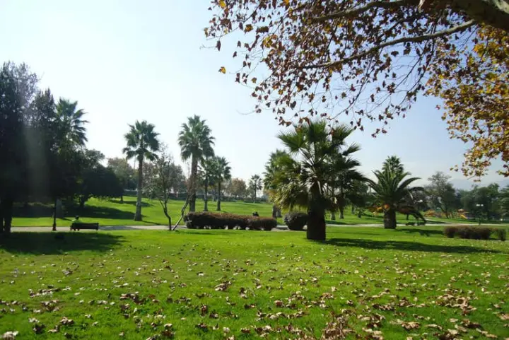 Santiago Walking Tour + Cable Car