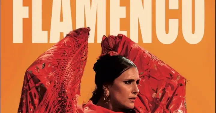 Sevilla Cóctel y Flamenco