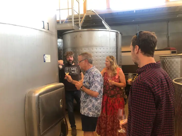 Tour del vino en Madrid: descubre bodegas locales únicas y catas