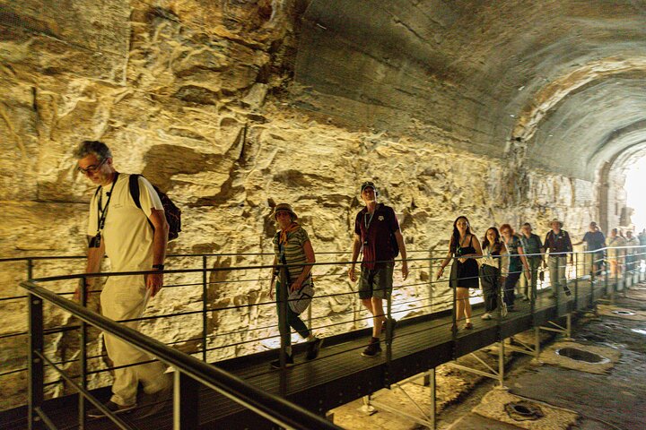 Acceso especial al Coliseo subterráneo, Foro Romano y Palacio de César