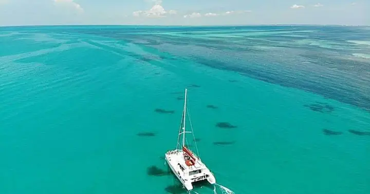 Miami: Key West Boat Tour w/ Optional Snorkeling & Open Bar