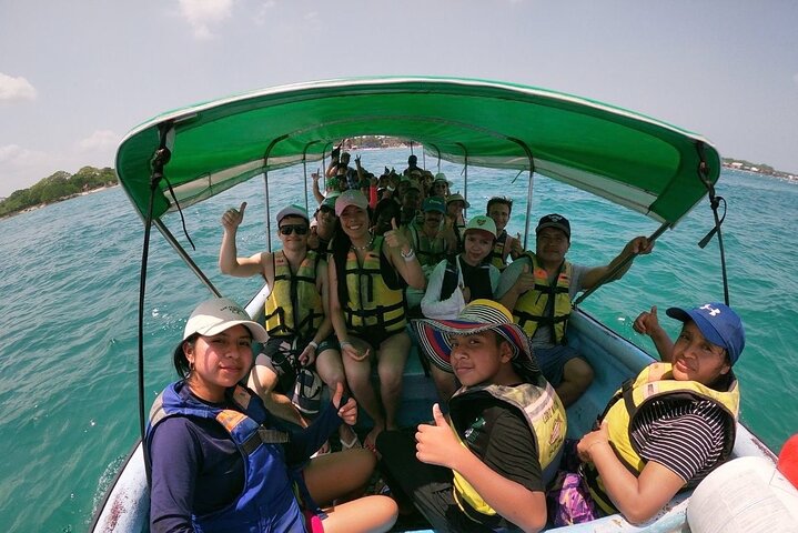 Día Completo en Manglares de Barú y Plancton Luminoso con Snorkel