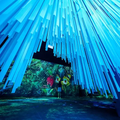 Gardens by the Bay: Flower Dome & Cloud Forest Entry Ticket