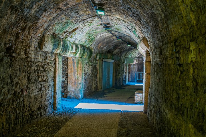 Visita al subterráneo del Coliseo con el Foro y el Monte Palatino