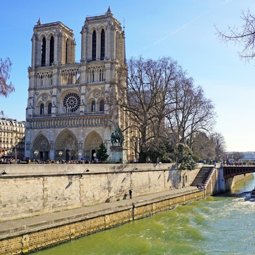 Île de la Cité París: Visita guiada + Entrada a la Catedral de Notre-Dame