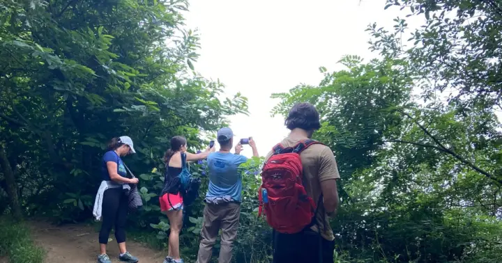 Ruta de senderismo por Ulia | San Sebastián: el Camino de Santiago