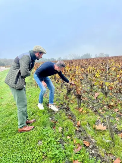 Burdeos: Viñedos de Graves, Pessac-Léognan y Sauternes