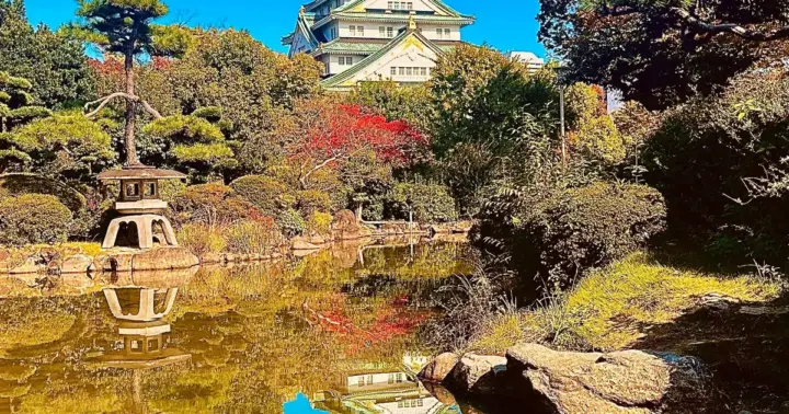 Tour Osaka al completo con entradas.