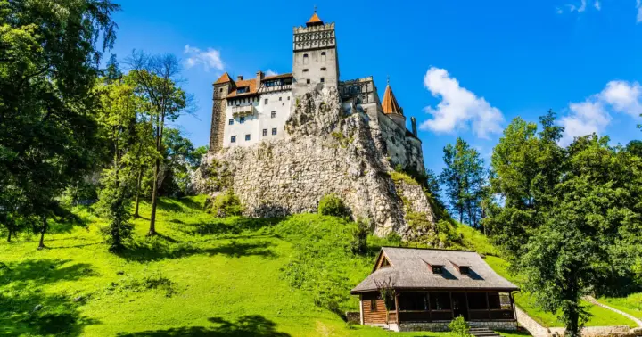 Bucharest: Day Trip to Dracula Castle, Peles Castle & Brașov