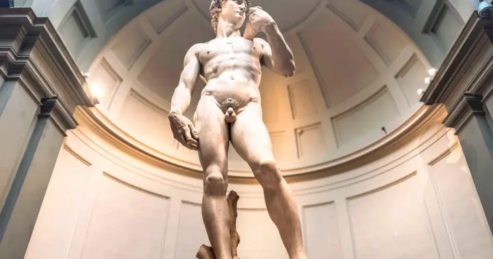 Florence: Accademia + David Entrance Ticket +Audio Guide APP