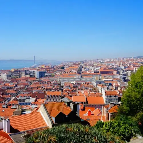 Lisboa Card: 51 Attractions & Public Transport