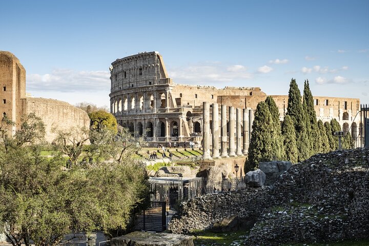 Foro de visitas guiadas al Coliseo y acceso a la colina del Palatino