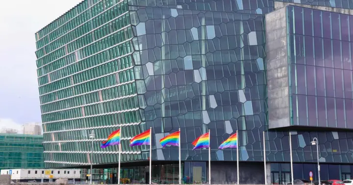Reikiavik: tour privado LGBTQ+ a pie con guía local