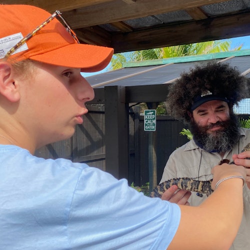 Everglades: 30-Minute Airboat Tour, Wildlife Show and Transportation from Miami