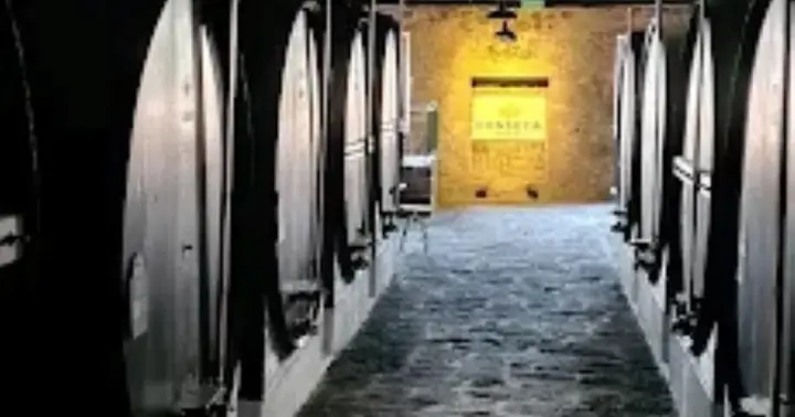Oporto: Haz un crucero y visita las bodegas de vino de Oporto