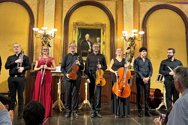 Tour Privado de Música Clásica de Viena : Entrada al Museo & Concierto