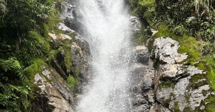 Medellín: Secret Waterfall Hike Tour with Snack and Coffee