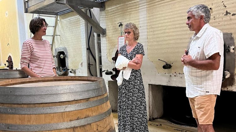 Tour privado en coche clásico por el viñedo con cata de vinos