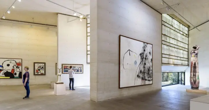 Mallorca: ticket de entrada a la Fundación Miró