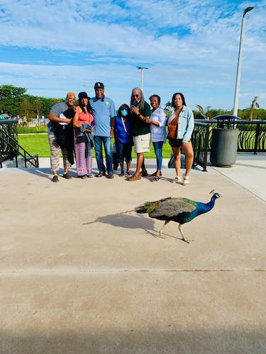 Everglades Tour from Miami