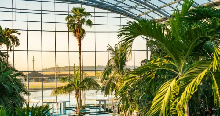 Bucharest: Therme Bucharest Entry Ticket and Transfer