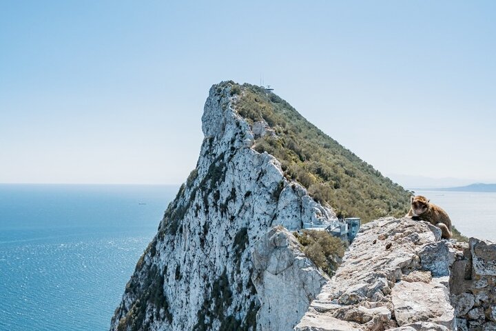 Desde Malaga, excursión a Gibraltar con transporte