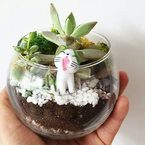 Funan & Paya Lebar Quarter: Terrarium & Airplant Greenwall Workshop