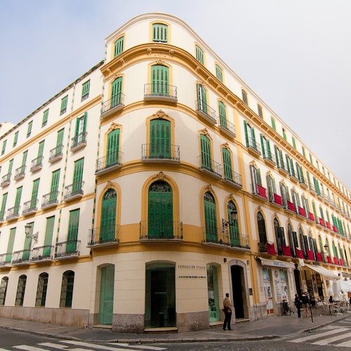 Museo Picasso Málaga y Museo Casa Natal de Picasso: Tour guiado
