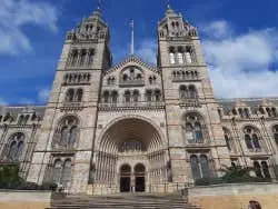 Visita guiada por el Museo de Historia Natural