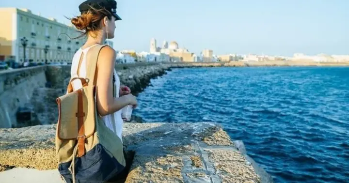 Desde Sevilla: excursión de 1 día a Jerez y Cádiz
