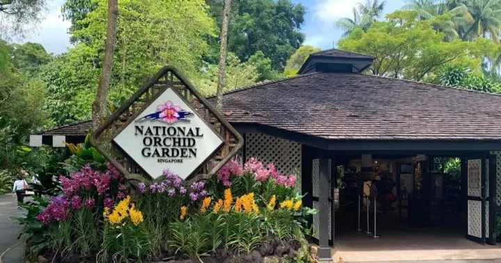 Singapur: tour de 1 día con jardines botánicos y safari nocturno