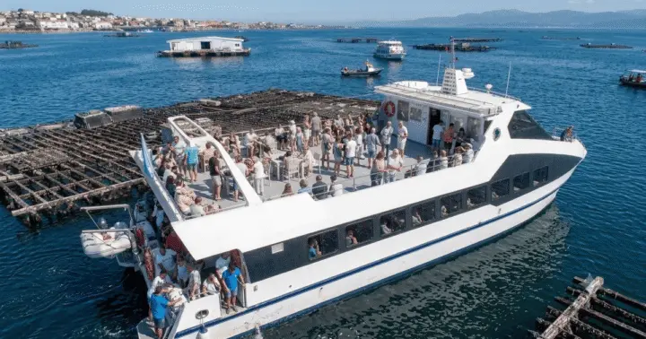 Desde Santiago: tour por las Rías Baixas con crucero y bodega opcional