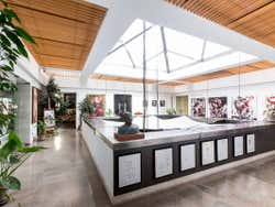 Espectáculo en el Museo del Baile Flamenco