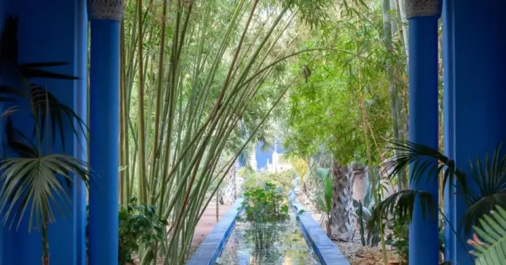 Marrakech: Jardín Majorelle, entradas a museos y audioguía