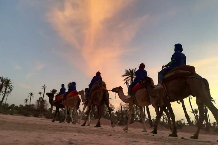 Paseo en camello al atardecer en el palmeral de Marrakech