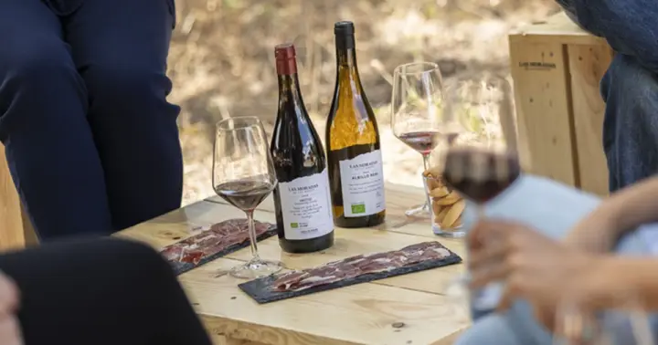 Madrid: tour por la bodega Las Moradas de San Martín y cata