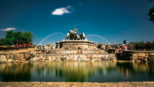 Admira Copenhague desde tierra y mar en un tour privado