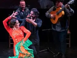 Espectáculo en el Teatro Flamenco Triana