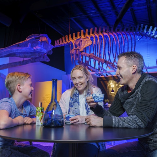 Whales of Iceland: Entrada