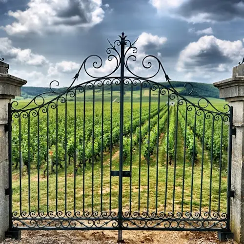 Saint-Émilion Village: Full-Day Wine Tour from Bordeaux