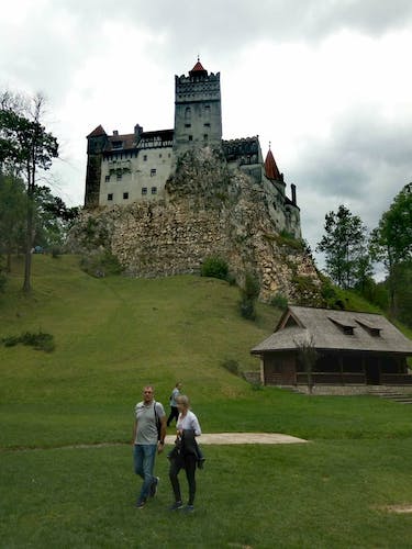 Libearty Bear Sanctuary and Bran Castle private full-day tour